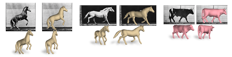 Modeling the 3D shape of animals | Perceiving Systems Blog